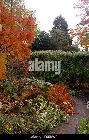 DIE ROBINSON GARTEN RHS HYDE HALL IM HERBST. Stockfoto