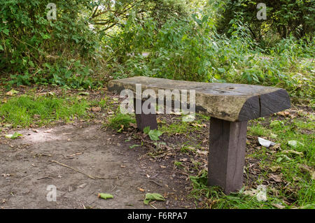 Eine kleine Holzbank, sitzt in einer ruhigen Lage, umgeben von viel Grün überwucherten an Morden Hall Park Stockfoto