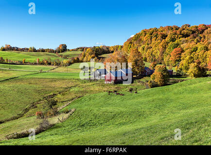 Bunter Herbst Bauernhof, Lesung, Vermont, USA Stockfoto