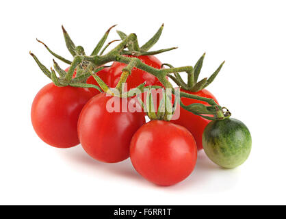 Zweig rote Kirschtomaten isoliert auf weiss Stockfoto