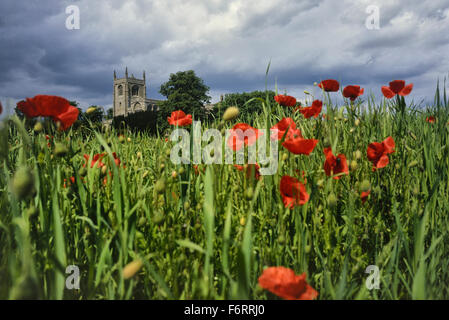 Heilige Dreifaltigkeit Stiftskirche, Tattershall, Lincolnshire, England, Großbritannien Stockfoto