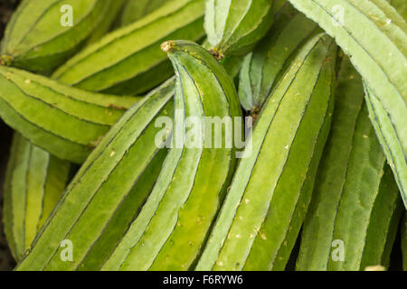 Haufen von reif Okra zum Verkauf auf lokalen Farmers market Stockfoto