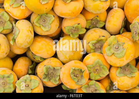 Bio Kaki Früchte in Haufen auf lokalen Farmers market Stockfoto