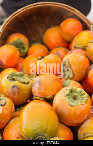 Bio Kaki Früchte in Haufen auf lokalen Farmers market Stockfoto