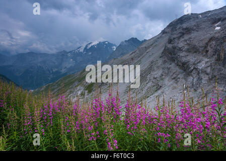 Schöne Aussicht vom Gipfel des Berges übergeben. Alpen, Europa. Stockfoto