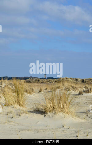 Strand Terschelling, Niederlande Stockfoto