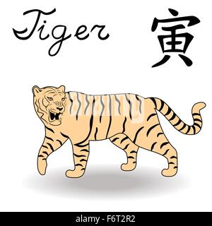 Östlichen Zodiac Zeichen Tiger, Symbol des neuen Jahres im chinesischen Kalender, hand gezeichnete Vektorgrafiken isoliert auf weißem Hintergrund Stock Vektor