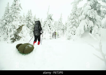 Kaukasische Wanderer Wandern im verschneiten Wald Stockfoto