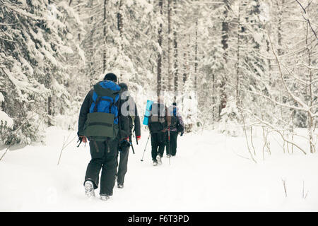 Kaukasische Wanderer Wandern im verschneiten Wald Stockfoto