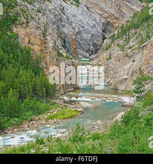 Dachs Creek in einem Canyon entlang der felsigen Bergfront in der Nähe von Heart butte, montana Stockfoto