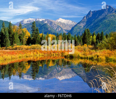 Herbstfarben und die Cabinet-Berge spiegeln sich in einem Bullental Feuchtgebiet in der Nähe von Troy, montana Stockfoto