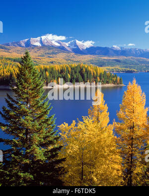 Herbstfarben und die Flathead Range (großer nördlicher Berg und Mount Grant) über dem Hungrigen Pferdestanoir in der Nähe von Hungrigen Pferd, montana Stockfoto