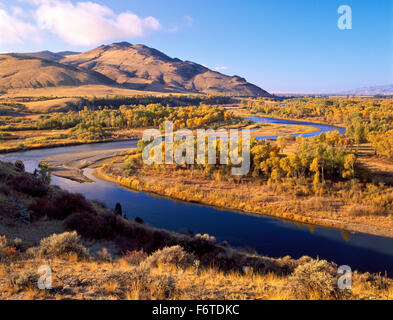 Herbst Farben entlang der Jefferson River in der Nähe von Whitehall, Montana Stockfoto