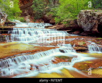 Erzengel-Kaskaden auf linke Gabel North Creek im Zion Nationalpark, utah Stockfoto