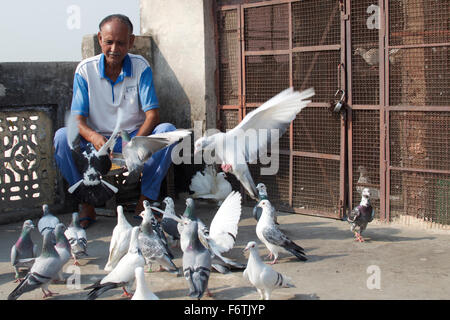 Neu-Delhi, Indien. 27. Oktober 2015. Taubenzüchter Sanjiv Sharma seine Vögel füttern auf dem Dach in Neu-Delhi, Indien, 27. Oktober 2015. Jeden Tag Hhe verbringt rund 2 Stunden auf dem Dach, Fütterung und Ausbildung seiner Vögel. Er hat Aufzucht Tauben seit meiner Kindheit und kennt jedes seiner 125 Vögel mit Namen. Foto: LEA DEUBER/DPA/Alamy Live-Nachrichten Stockfoto