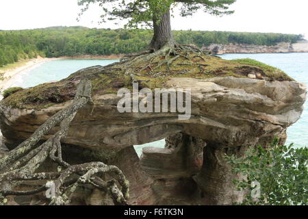 Kapelle Rock Rock Formation und Baumwurzeln auf Kapelle Strand entlang des Lake Superior in die abgebildete Rocks National Lakeshore, Michigan Stockfoto