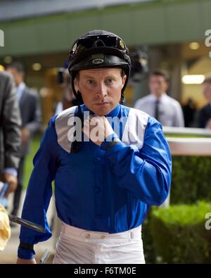 Meydan Racecourse, Vereinigte Arabische Emirate. 19. November 2015.   Jockey Tadhg O' Shea, bevor die Vollblüter 80-94 bei Meydan Racecourse Credit Handicap: Tom Morgan/Alamy Live-Nachrichten Stockfoto