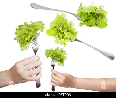 Satz von Wohn / Gabeln mit frischem Blattsalat, isoliert auf weißem Hintergrund Stockfoto