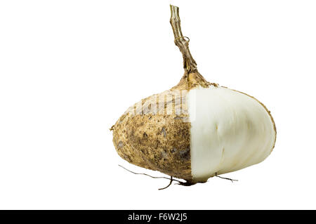 "Yam-Bohne" oder Jicama Obst isoliert auf weißem Hintergrund und Clipping-Pfad Stockfoto