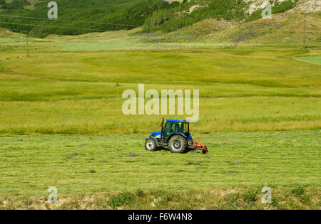 Anbau Feld Traktor Stockfoto