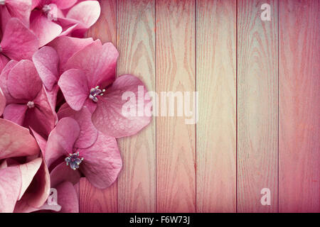 Atemberaubende rosa Blumen auf rosa Hintergrund aus Holz. Textfreiraum Stockfoto