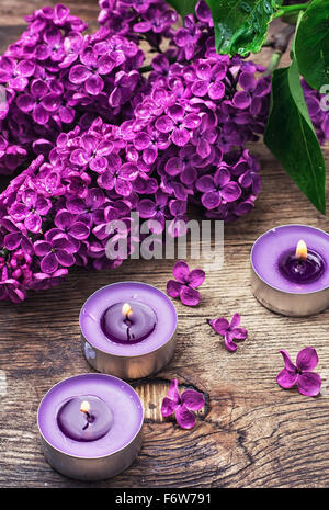 Gebrochene duftenden Zweig mit lila Blumen und brennenden Kerzen. Stockfoto