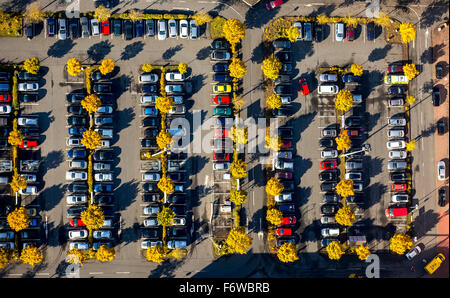 Parkplatz Möbel Shop Roller mit Laubbäume im Herbst Laub, Essen, Ruhrgebiet, NRW, Deutschland, Stockfoto