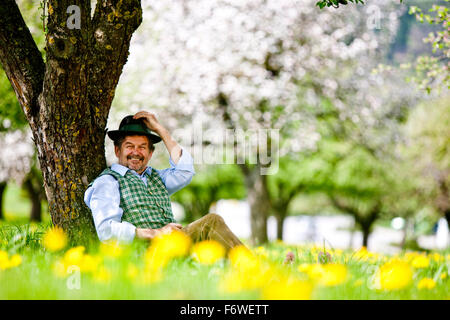 Mann, sitzend unter blühenden Apfelbaum, Stubenberg, Steiermark, Österreich Stockfoto