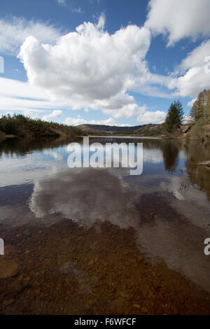 Trossachs, Schottland. Malerische Aussicht auf Loch Reoidhte befindet sich auf dem Wald-Laufwerk des Queen Elizabeth Forest Park. Stockfoto