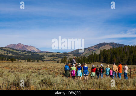 Ausstatter geben Anweisungen auf Reiten an Touristen, Sportler Trail in der Nähe von elektrischen Peak, Yellowstone-Nationalpark, Stockfoto