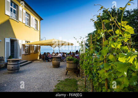 Restaurant mit Panoramablick über den Bodensee, Meersburg, Bodensee, Baden-Württemberg, Deutschland Stockfoto