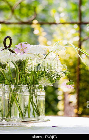 Stilleben mit Vase mit Sommerblumen, Freiamt, Emmendingen, Baden-Württemberg, Deutschland Stockfoto