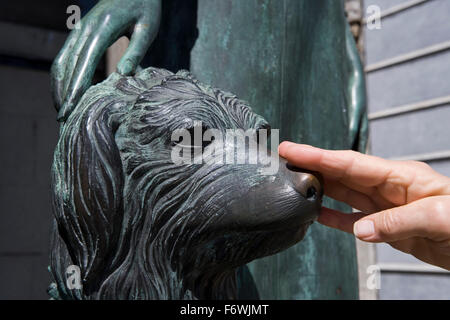 Hand zu berühren der Nase Bronzestatue Hund am Grab von Liliana Crociati de Szaszak und ihrem Hund Sabu in Recoleta Friedhof, Bu Stockfoto