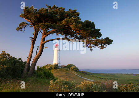 Leuchtturm am Dornbusch, Hiddensee Insel, Nationalpark Vorpommersche Boddenlandschaft, Ostsee, Mecklenburg Western-Pomeran Stockfoto