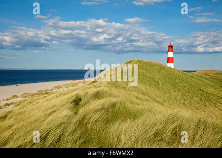 Liste Ost Leuchtturm, Ellenbogen-Halbinsel, Insel Sylt, Nordsee, Nordfriesland, Schleswig-Holstein, Deutschland Stockfoto