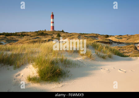 Leuchtturm in den Dünen bei Kniepsands, Amrum Insel, Nordsee, Nordfriesland, Schleswig-Holstein, Deutschland Stockfoto