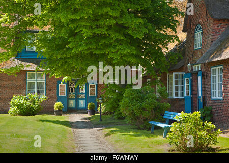 Eingang zu einem friesische Haus Keitum, Sylt, Insel, Nordsee, Nordfriesland, Schleswig-Holstein, Deutschland Stockfoto