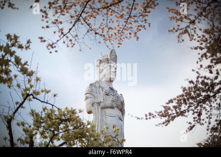 Guanyin mit Sakura, chinesischen Buddhismus, der Göttin des Mitgefühls im Funaoka Park - Shibata, Japan Stockfoto