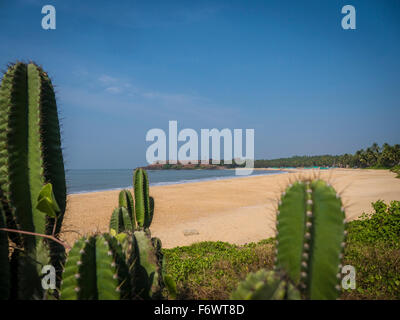 Bekal Forts, Bekal, Kerala, Indien Stockfoto