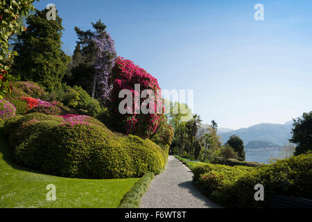 Gärten der Villa Carlotta, Tremezzo, Comer See, Lago di Como, Provinz Como, Lombardei, Italien Stockfoto