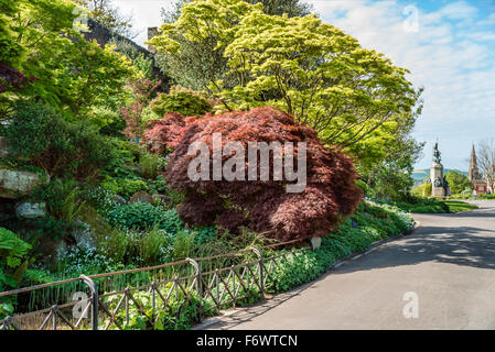 Northernhay Gärten, Exeter, Devon, Vereinigtes Königreich Großbritannien Stockfoto