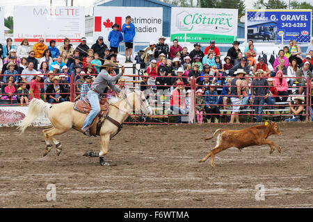 Cowboy zu sein Lasso werfen die lokalen Rodeo Kalb roping Wettbewerb in Quebec Stockfoto