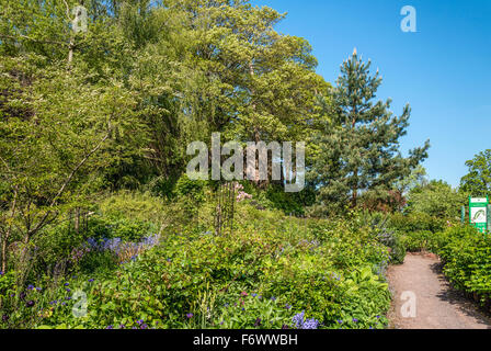 Northernhay Gärten, Exeter, Devon, Vereinigtes Königreich Großbritannien Stockfoto