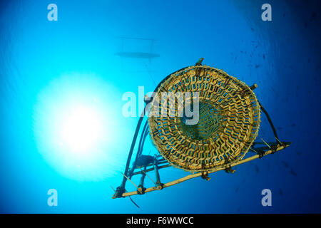 Fisch-Trap, Fischfalle typisch für Alor, Alor Archipel, Indischer Ozean, Indonesien, Sawu Meer, Pantarstrait Stockfoto