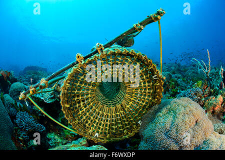 Trap, Fischfalle typisch für Alor Archipel, Indonesien, Sawu Meer, Pantarstrait, indischen Ozean Fisch Stockfoto