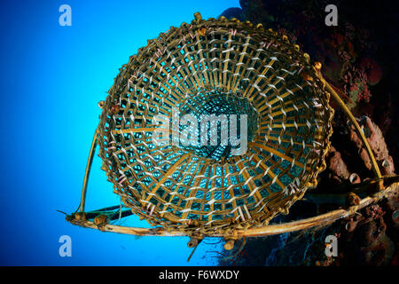 Fisch-Trap, Fischfalle typisch für Alor, Alor Archipel, Indischer Ozean, Indonesien, Sawu Meer, Pantarstrait Stockfoto