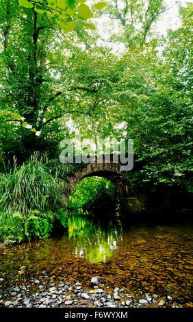 St Leonards Fuß Brücke, in der Nähe von Launceston, Cornwall Stockfoto