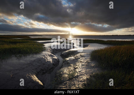 Kanal. Parrett Flussmündung. Somerset. VEREINIGTES KÖNIGREICH. Stockfoto