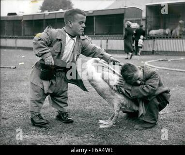 1958 - Peter bekommt fast durch den Kofferraum! Peter ist ein sehr feinen Pelikan, die regelmäßig im großen Chipperfield Circus, erscheinen jetzt zum ersten Mal auf Clapham Common führt. Peter ist großzügig bezahlt für seine Arbeit in Form eines üppigen Heringe jede Woche, aber er ist gierig Vogel und wenn er eine Boot herumliegen sah, entschied er sich es könnte ein schmackhaftes Gericht und in wenigen Sekunden war die Boot in den Hals verschwunden. Zum Glück Hubert und Herbert, sah seinen Zwerg Freunden was vorgefallen und kam eilig über und während Herbert Peter gehalten, Hubert stieß seinen Arm nach unten des Vogels Kehle und mana Stockfoto