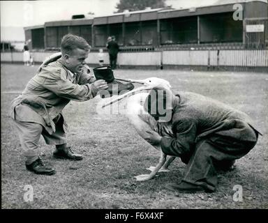 1958 - Peter fast bekommt das Boot.: Peter ist ein sehr feinen Pelikan, die regelmäßig im großen Chipperfield Circus, erscheinen jetzt zum ersten Mal auf Clapham Common durchführen. Peter-Ids großzügig bezahlt für seine Arbeit von üppigen Heringe jede Woche, aber er ist ein gieriger Vogel und wenn er eine Boot herumliegen sah, entschied er sich es könnte ein schmackhaftes Gericht und in wenigen Sekunden war die Boot in den Hals verschwunden. Zum Glück Hubert und Herbert seinen Zwerg Freunden gesehen, was durchsickerte und kam über eilen und halten, während Herbert Peter, Hubert stieß seinen Arm Hals Vögel und retriev Stockfoto